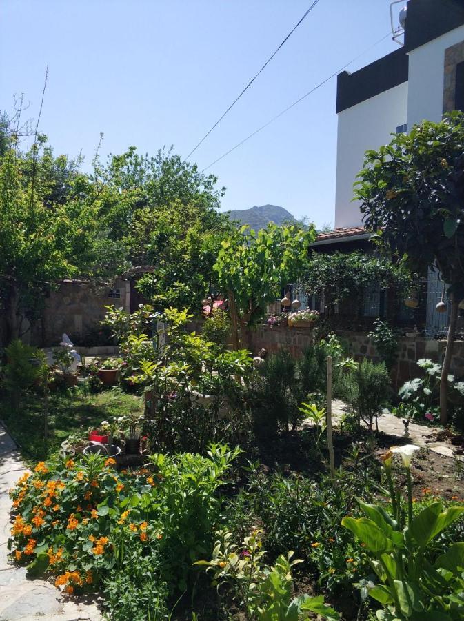 Apart Turgutreis Exterior photo