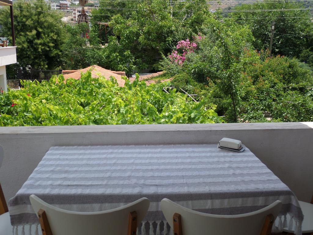 Apart Turgutreis Room photo